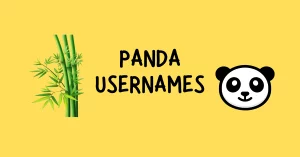 Read more about the article 250+ Cute and Funny Panda Usernames for Social Media 2024 – AestheticNames