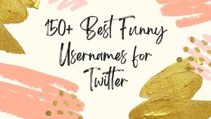 Read more about the article 150+ Best Funny Usernames for Twitter 2024 – AestheticNames