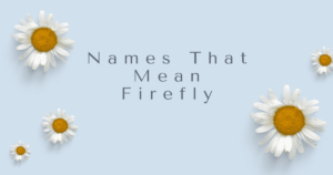 Read more about the article 190+ Elegant Names That Mean Firefly 2024 – AestheticNames