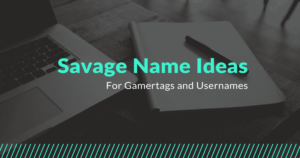 Read more about the article 250+ Unique and Best Savage Name Ideas 2024 – AestheticNames