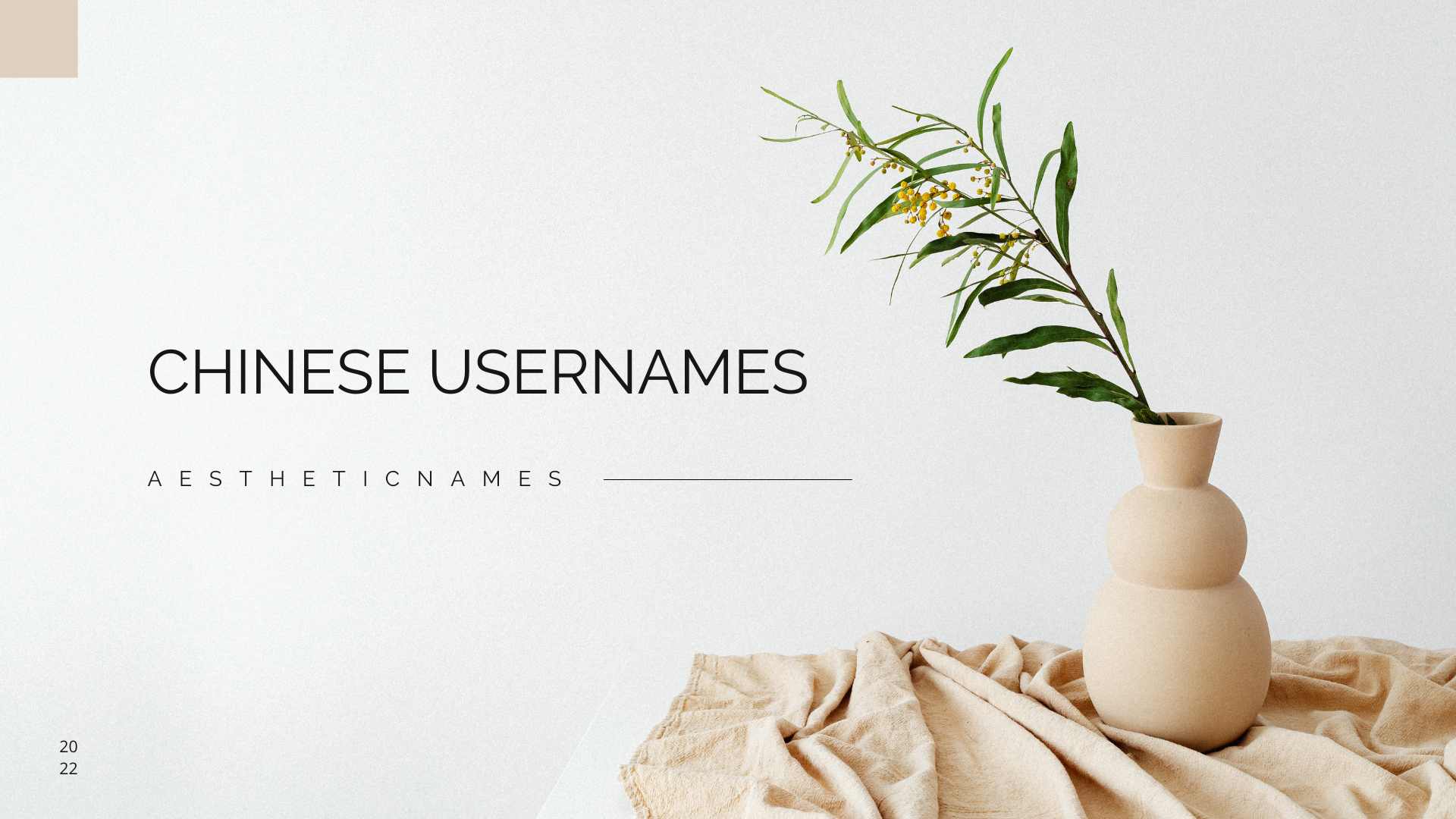 Read more about the article 150+ Cool and Cute Chinese Usernames-AestheticNames