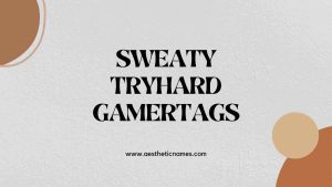 Read more about the article 200+ Best Sweaty Tryhard Gamertags-AestheticNames