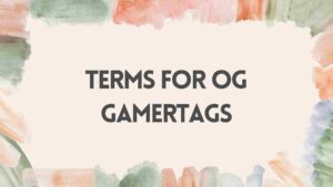 Read more about the article 150+ Unique Terms for OG Gamertags That Are Taken-AestheticNames